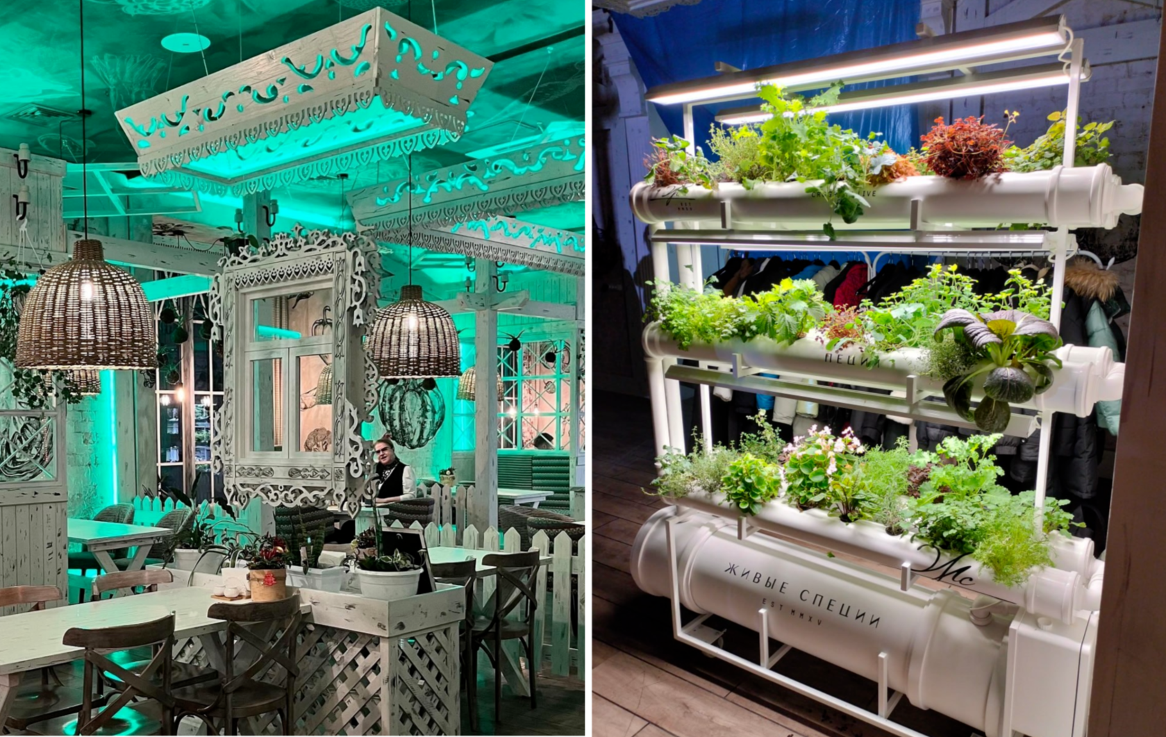 Фото: «Два деда», телеграм-канал «Как есть daily»