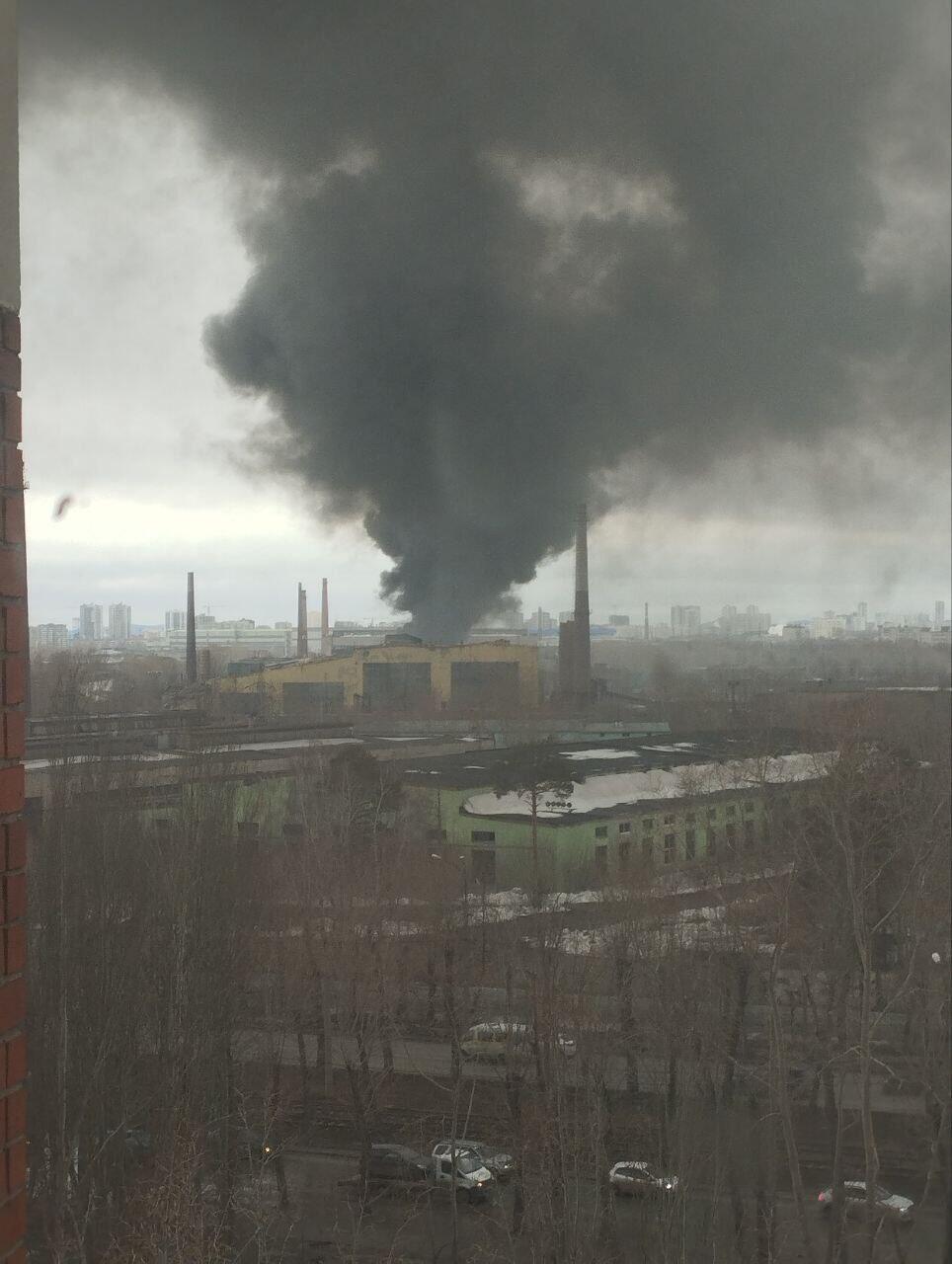 Фото: телеграм-канал «Жесть Екатеринбург»