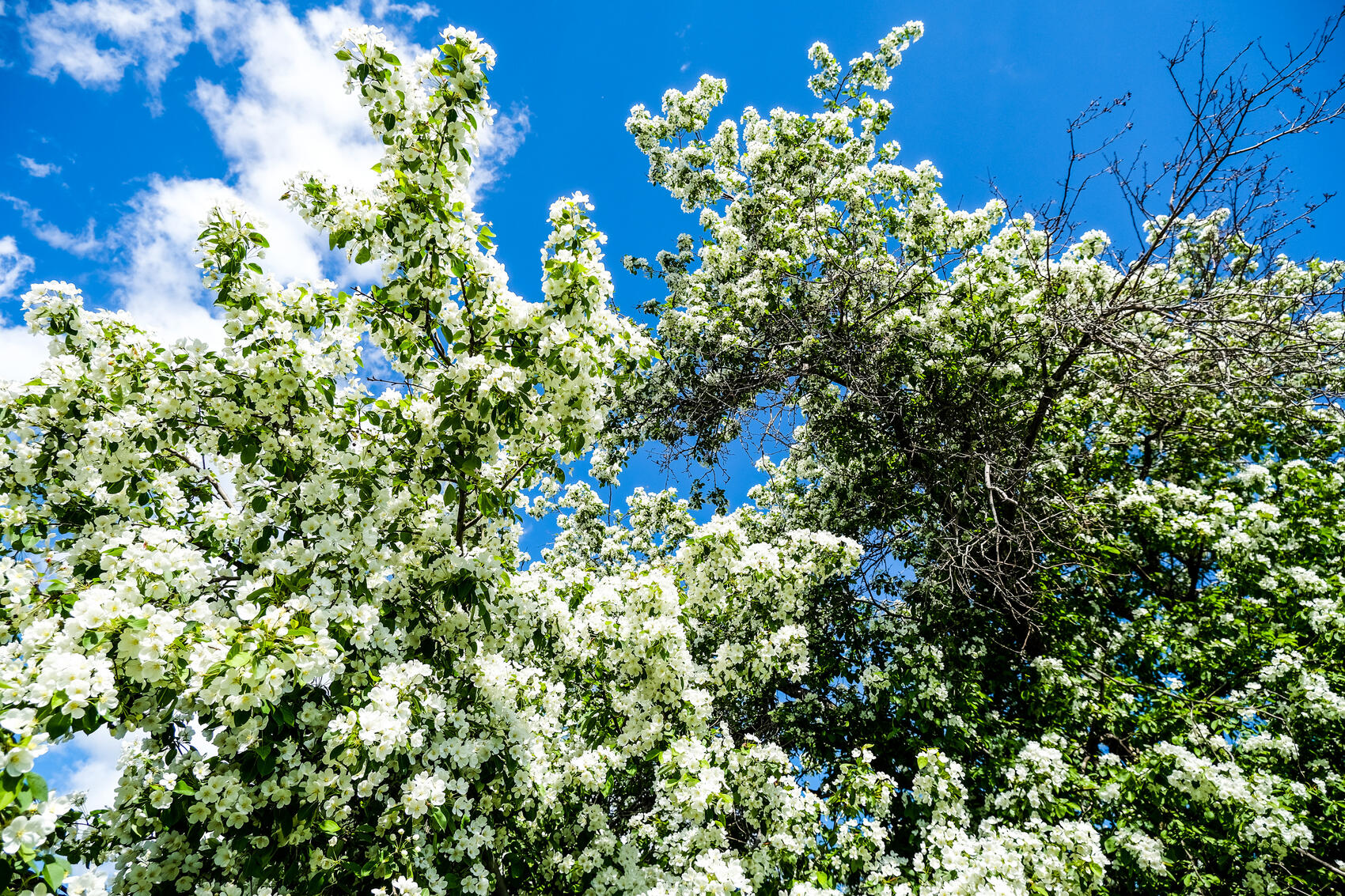  Фото: Саша Зубковский / It's My City