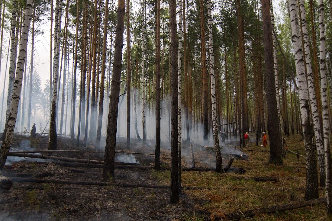 Фото: It's My City