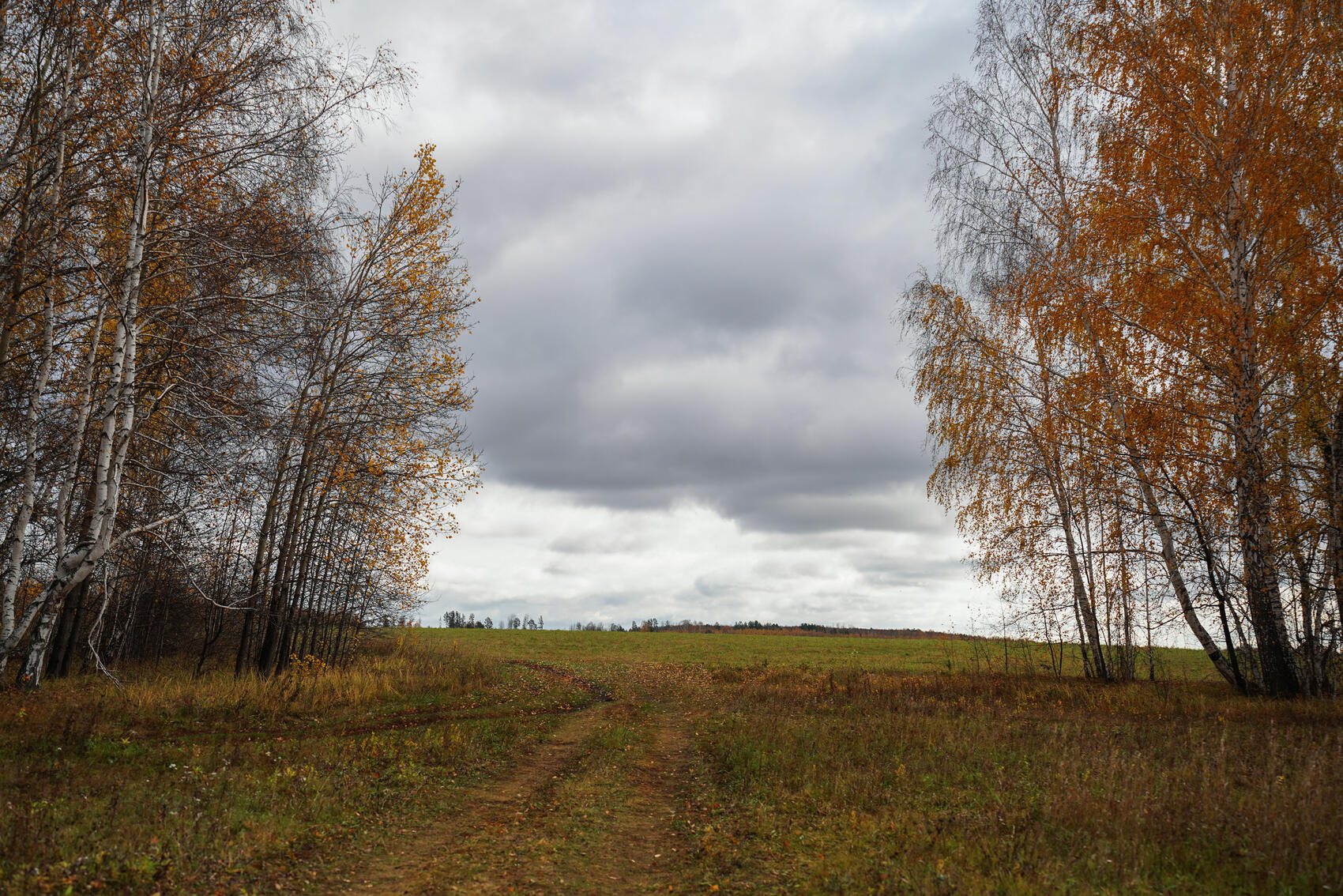 Фото: It's My City