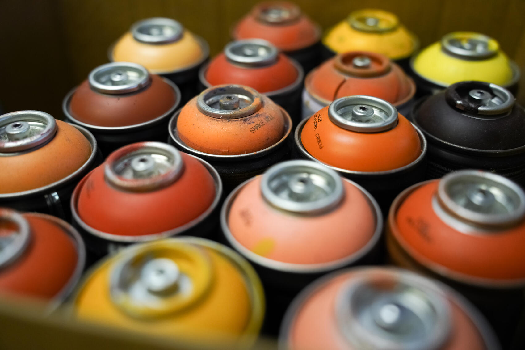 Фото: Елена Елизарова / It’s My City