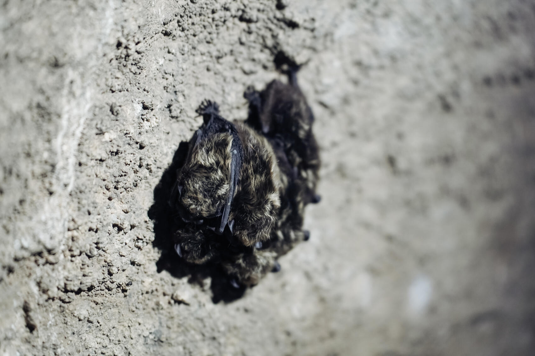 Фото: Елена Елизарова / It’s My City