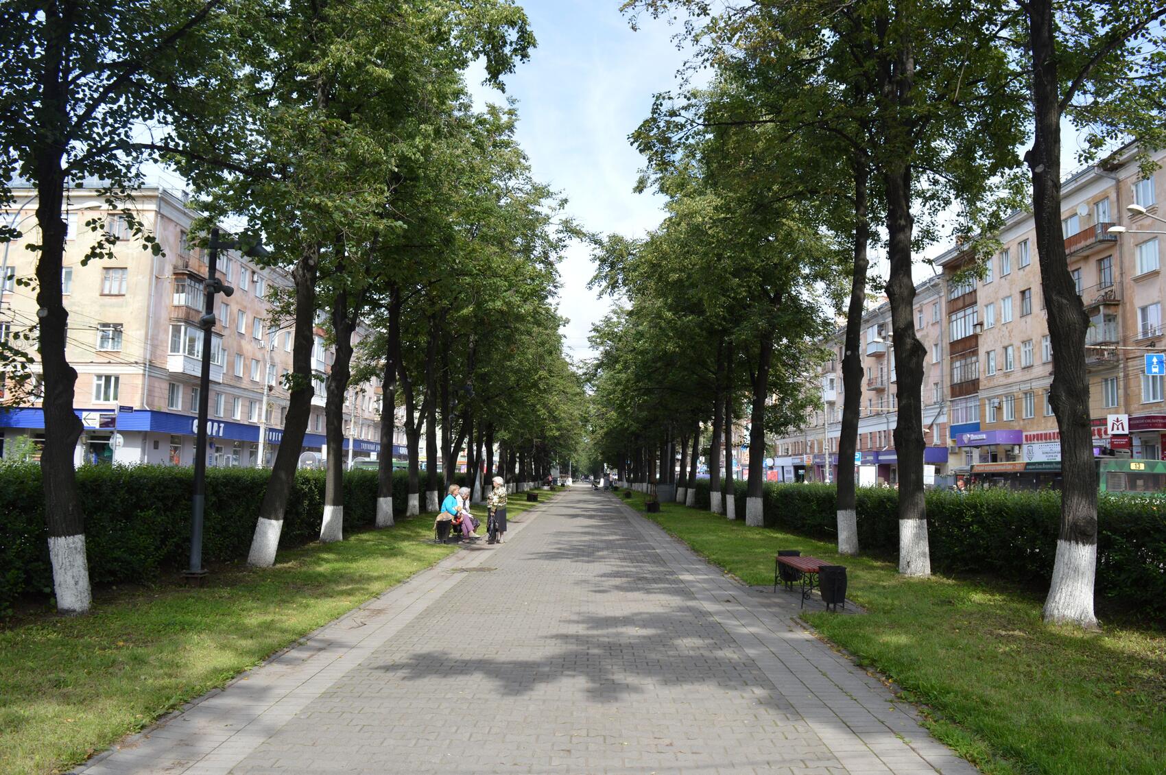 Аллея на Комсомольском проспекте. Фото: visitperm.ru