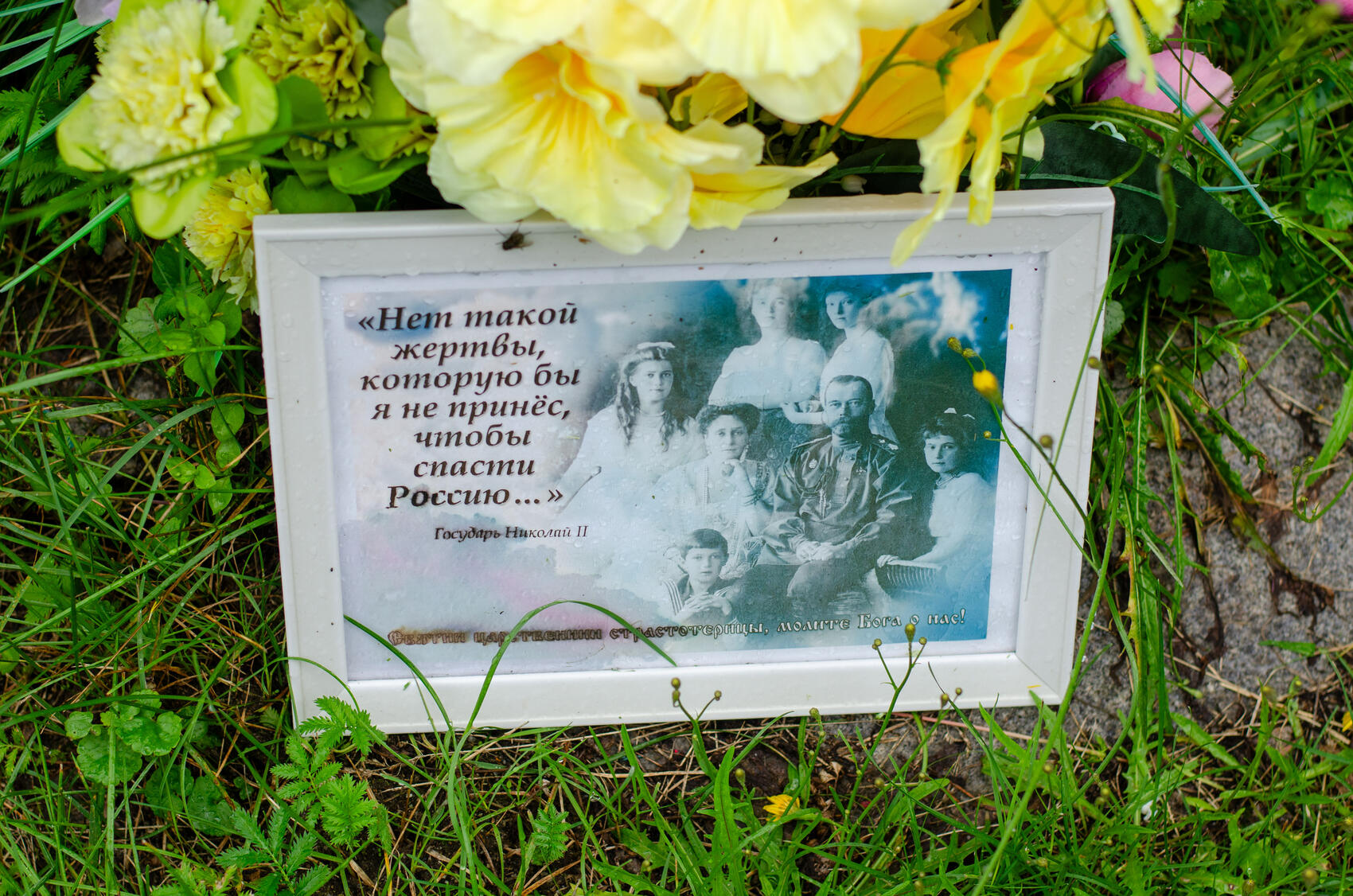 Фото: It's My City