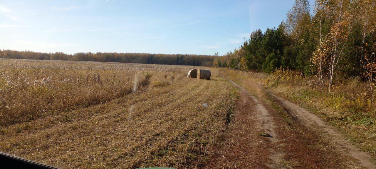  Фото спорного участка. Фото предоставлено активистами, выступающими против строительства мусорного производства под Сысертью