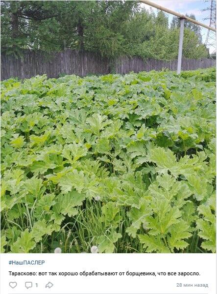 Скриншот: телеграм-канал «Екатеринбург в огне»