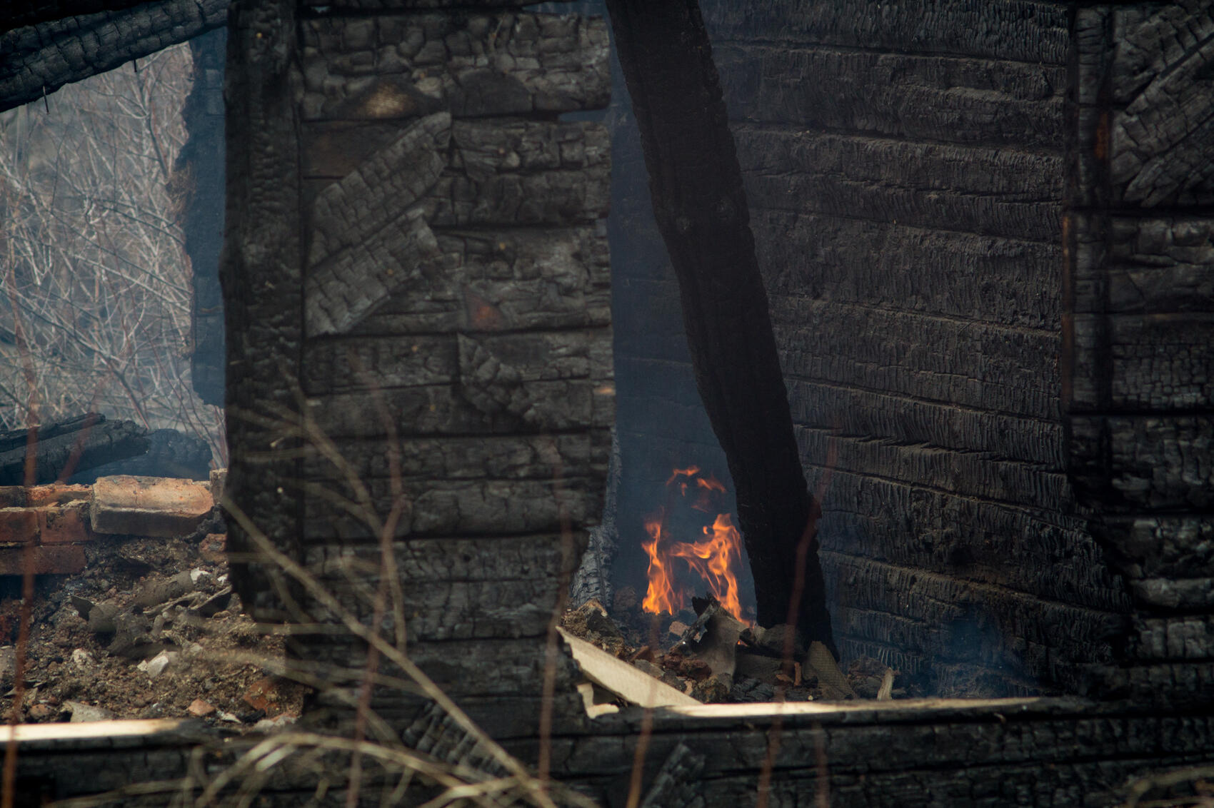 Фото: Елена Елизарова / It's My City