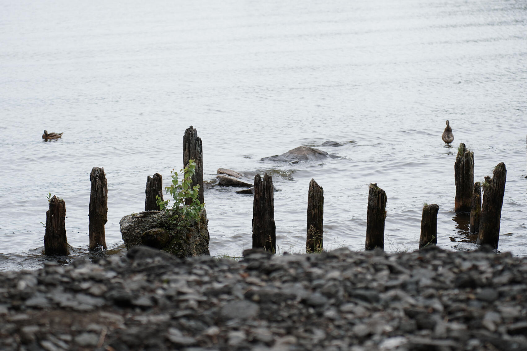 Фото: It’s My City