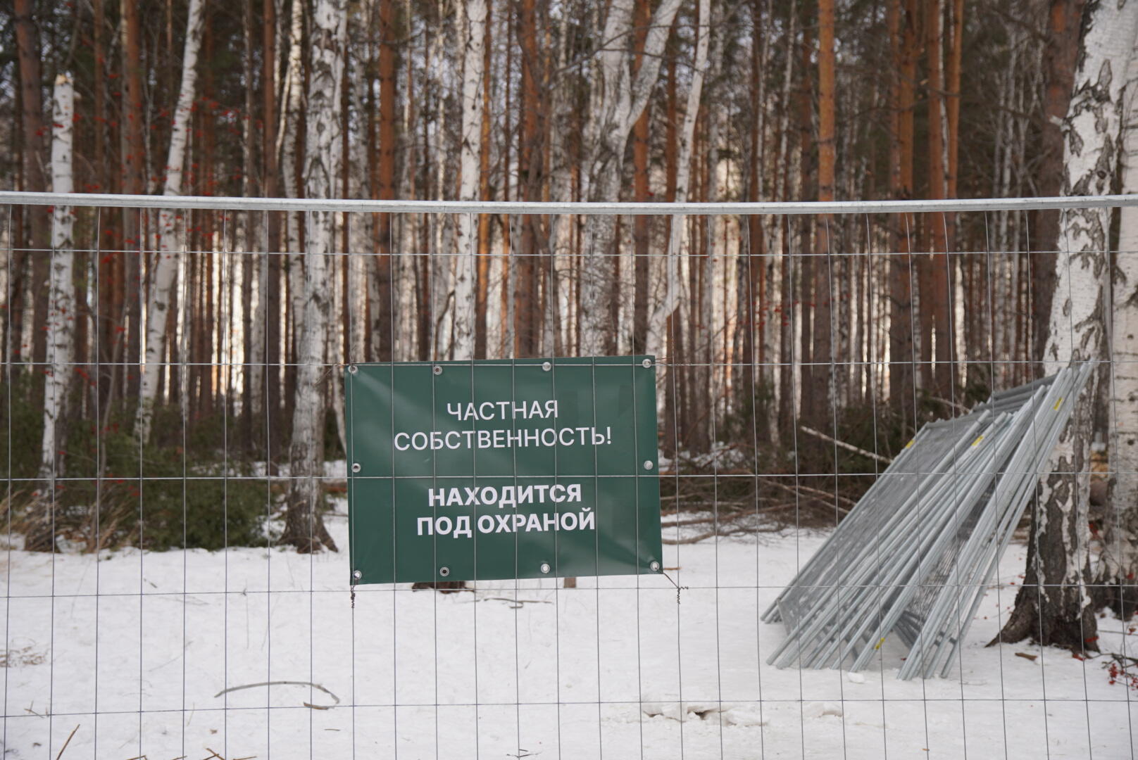 Забор в Березовой роще и деревья, которые рабочие успели срубить до приезда полиции