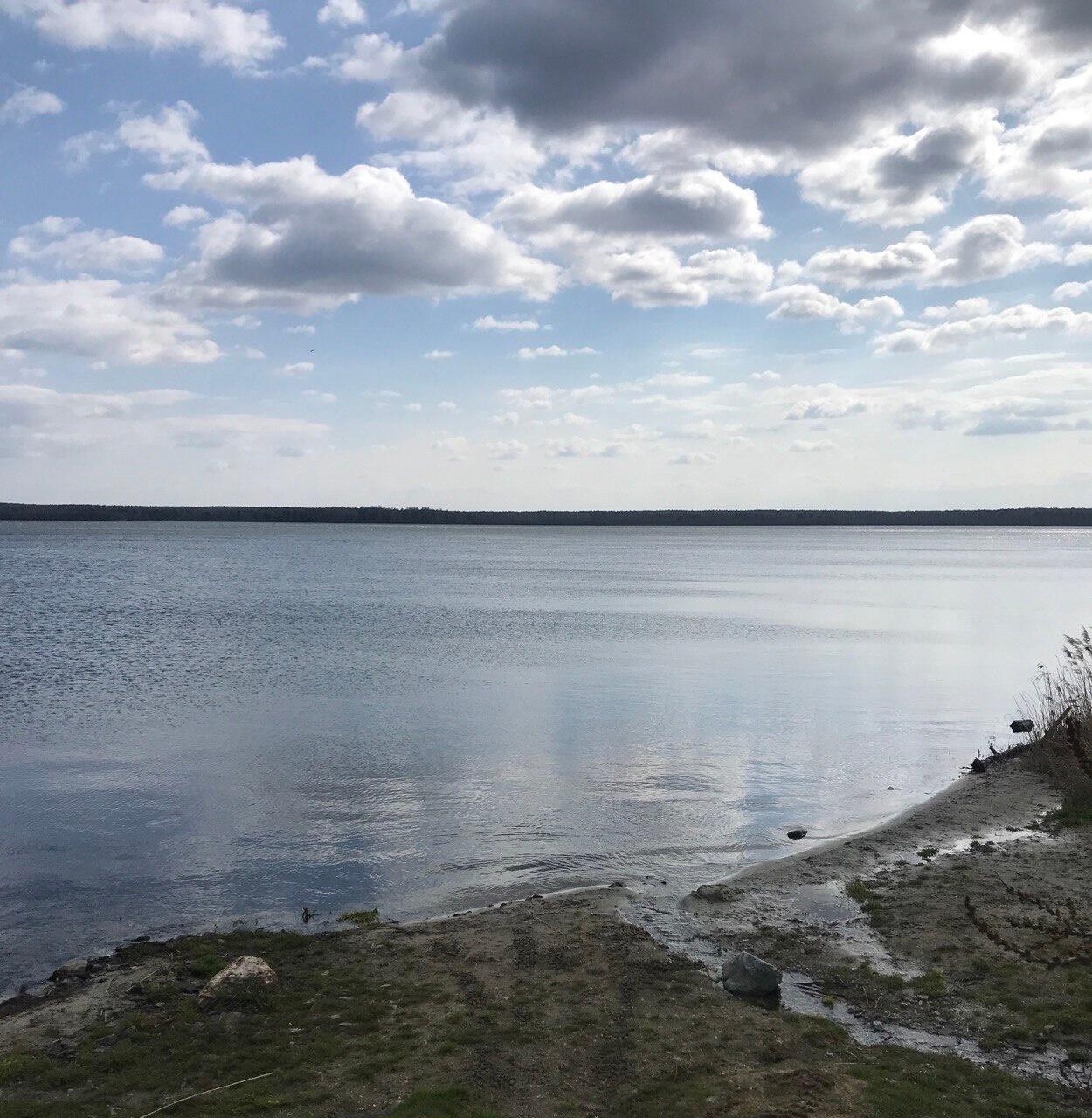 Фото: Группа «Остановим вырубку леса, Верхняя Пышма» во «ВКонтакте» 