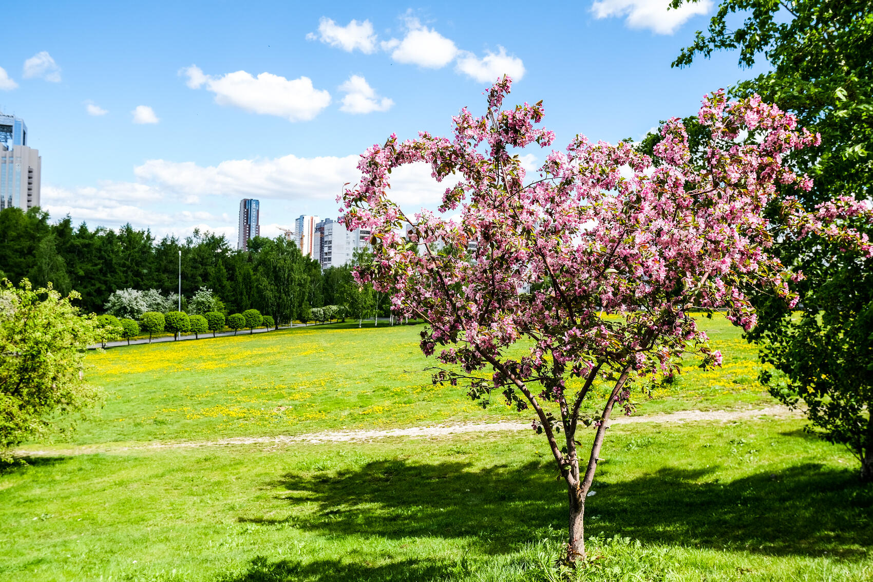  Фото: Саша Зубковский / It's My City