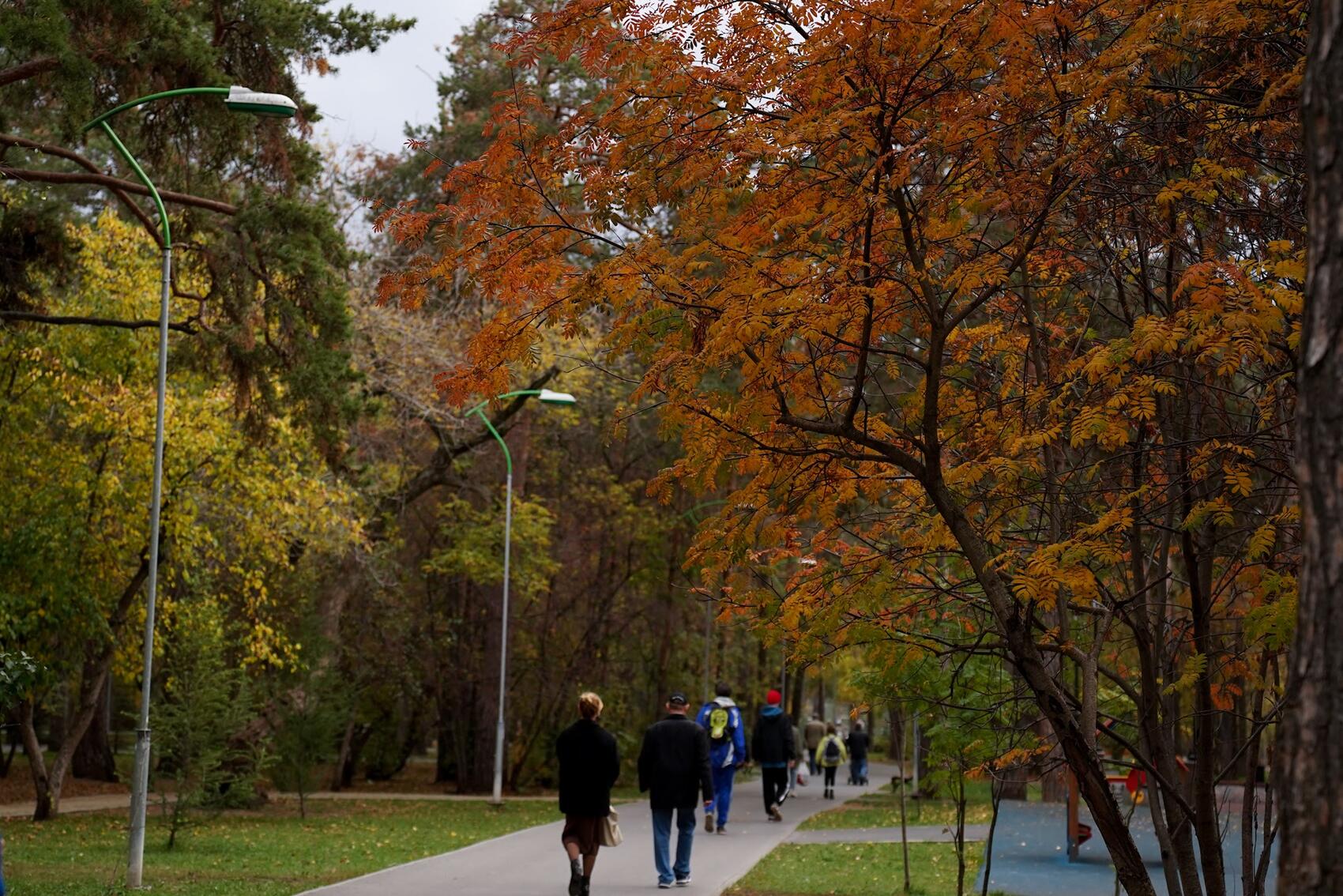 Фото: It's My City