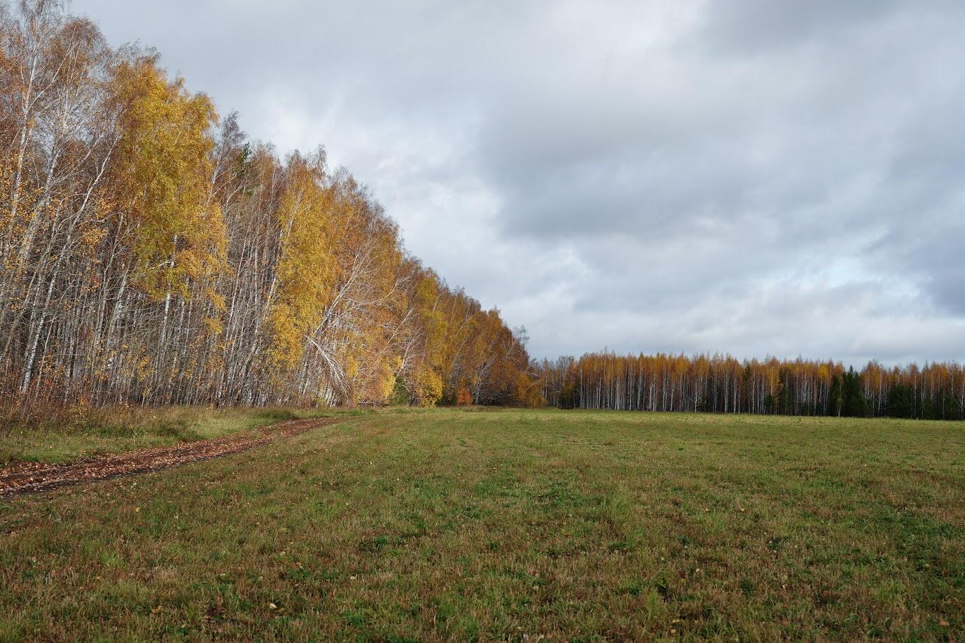 Участок, где собираются построить мусорное производство. Фото: It's My City