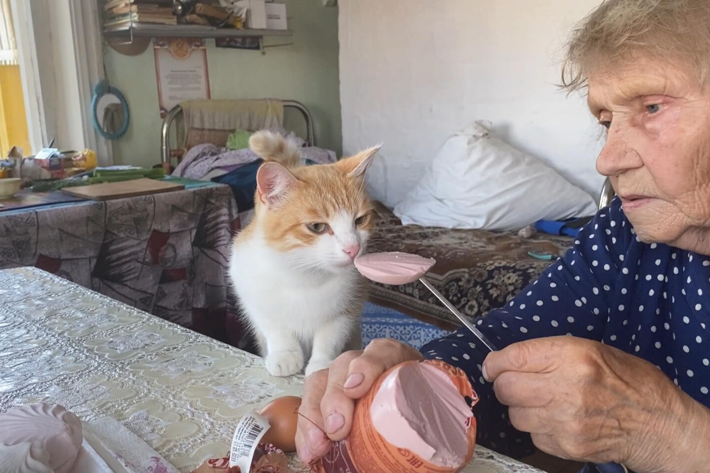 Скриншот фильма «Софья Хлебовна», предоставлен командой фестиваля