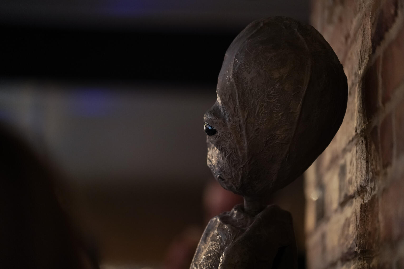 Фото: Елена Елизарова / It's My City