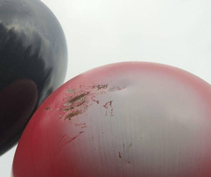 Фото: читатели