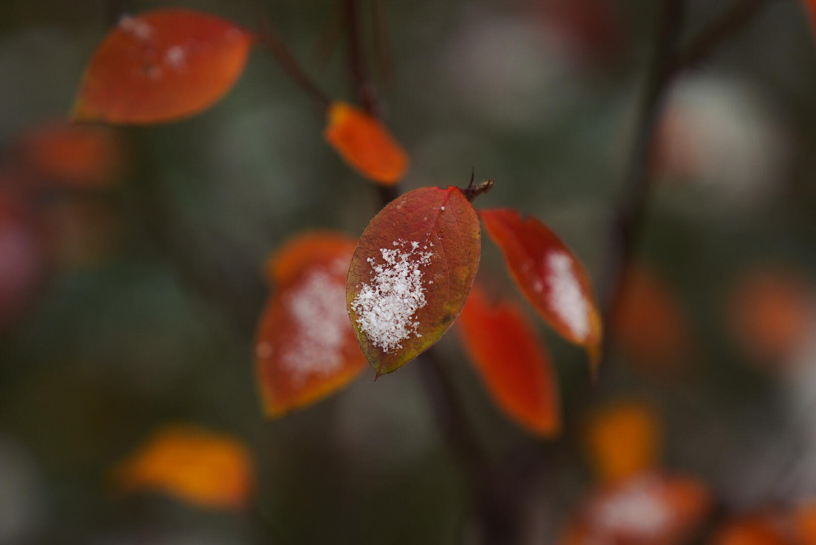 Фото: It's My City