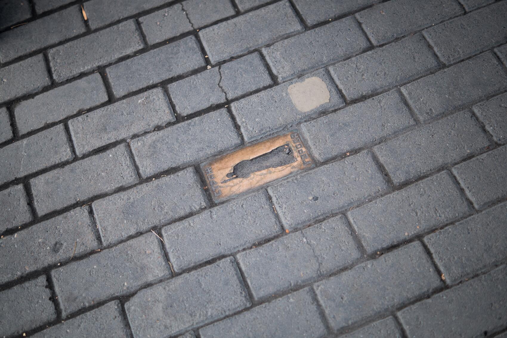 Пример интервенции: работа Сергея Лаушкина «Страж города» с памятником революционеру Ивану Малышеву и силуэтом взорванной телебашни позади него