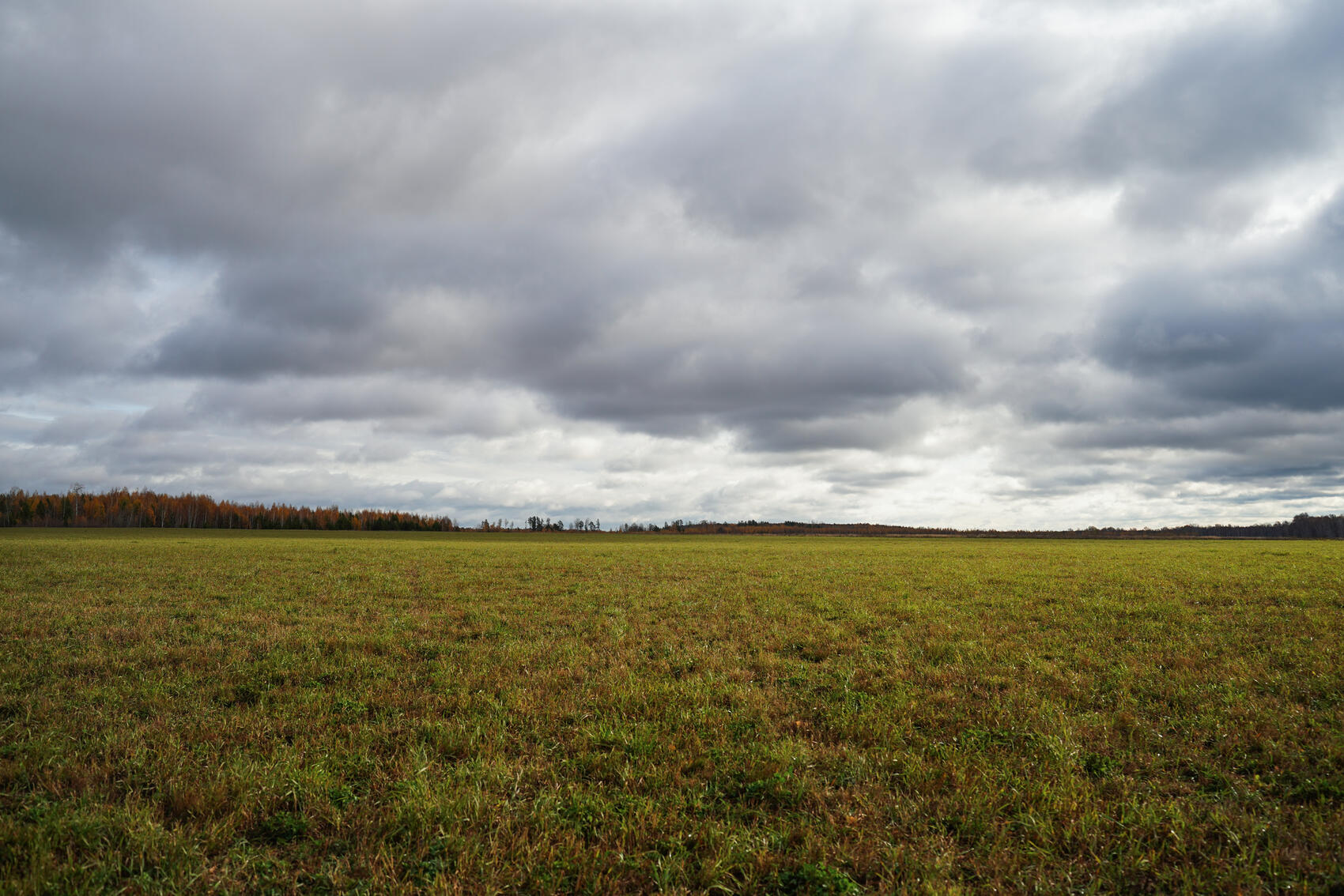 Участок, на котором собираются построить «экокластер». Фото: It's My City