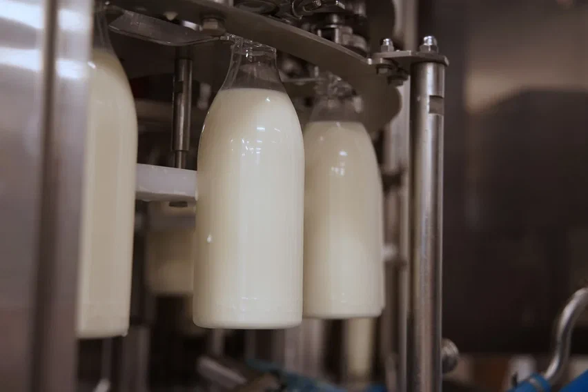 Фото: ООО «Талицкое молоко»