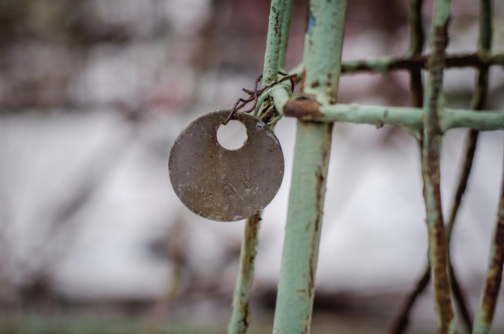 Фото: Евгения Кобеева / It's My City