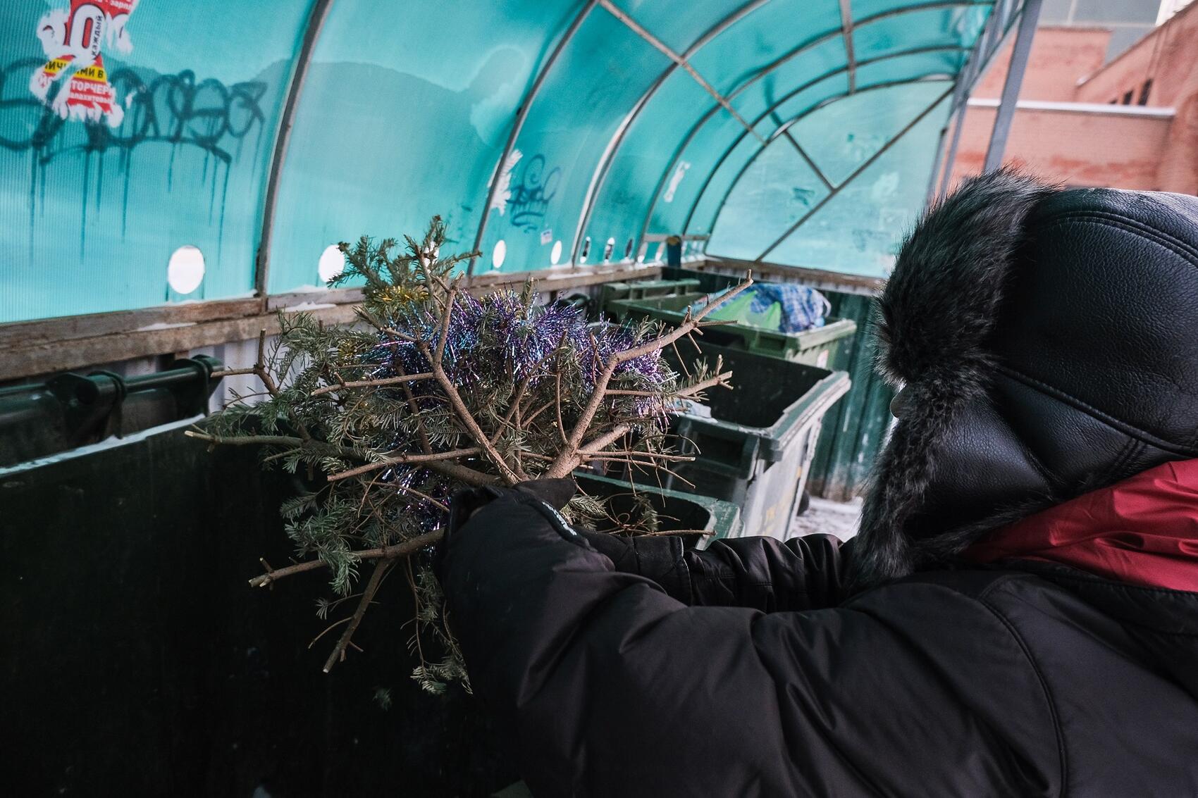 Не выбрасывайте ели на свалку. Фото: Саша Зубковский / It's My City