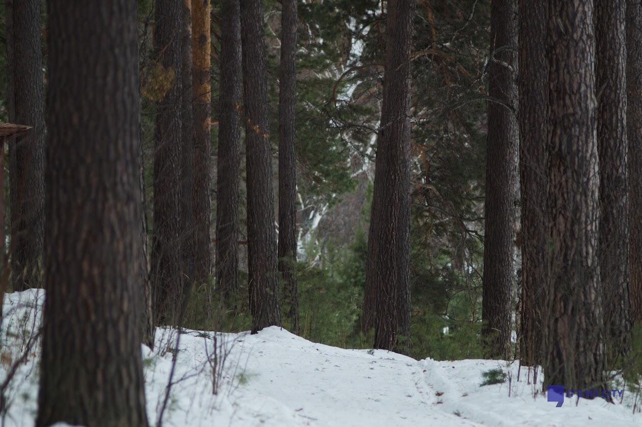 Фото: It's My City