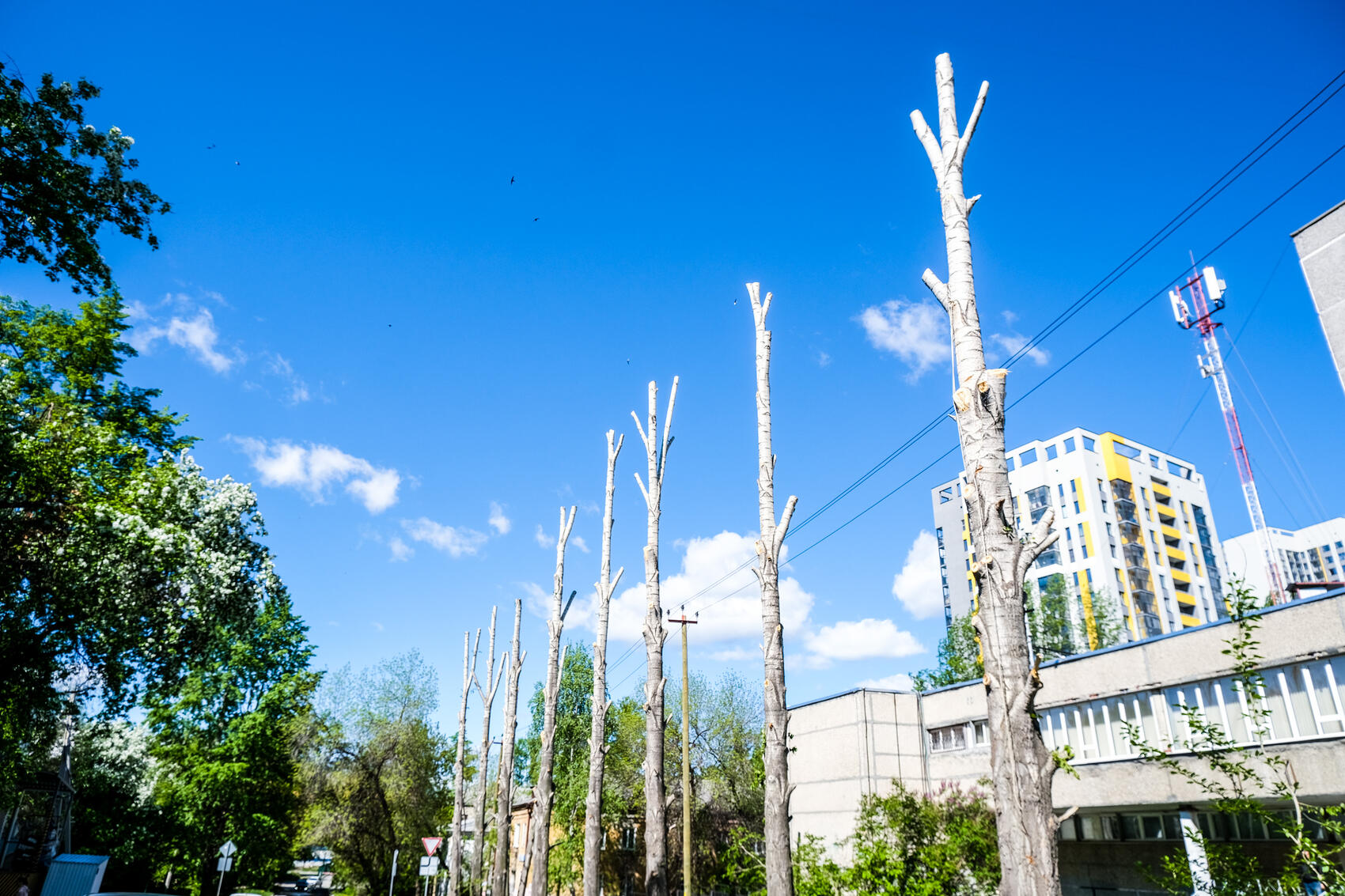 Фото: Саша Зубковский / It's My City