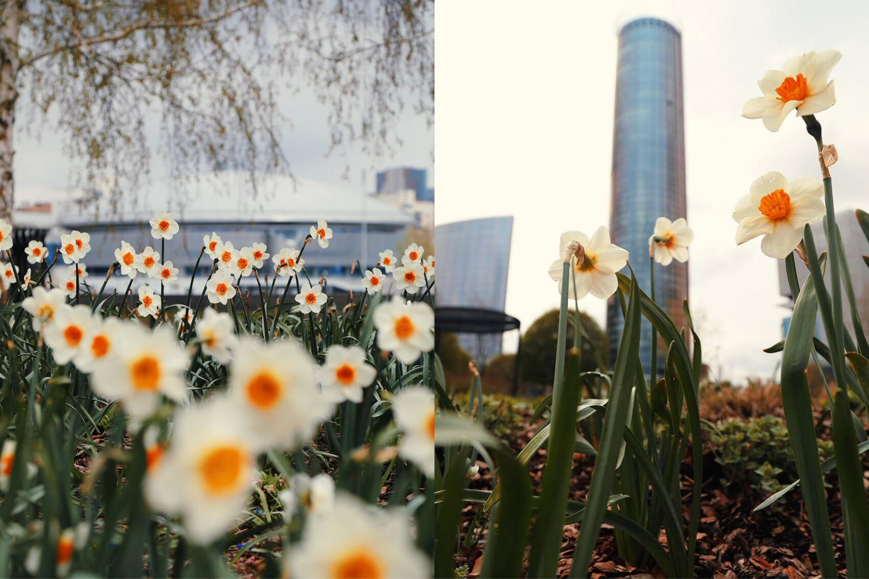 Фото: Вадим Шамсияров