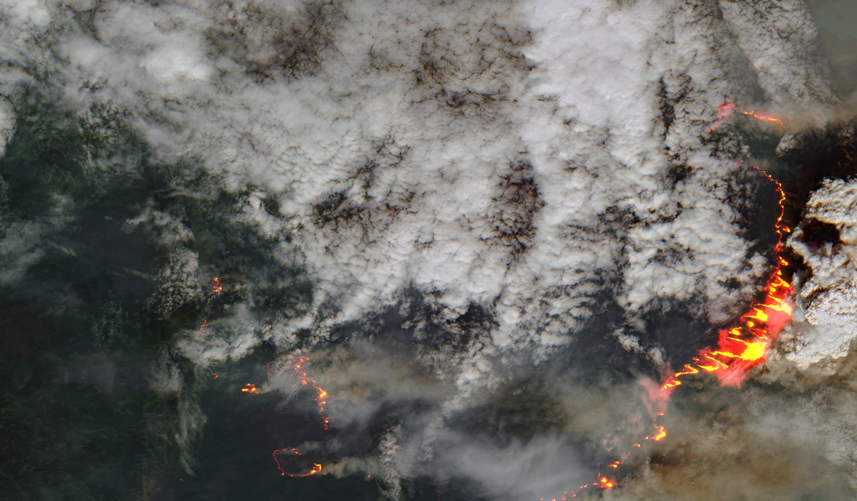 Пожары в Якутии, съемка из космоса 5 июля 2021 года. Фото: Всемирная метеорологическая организация