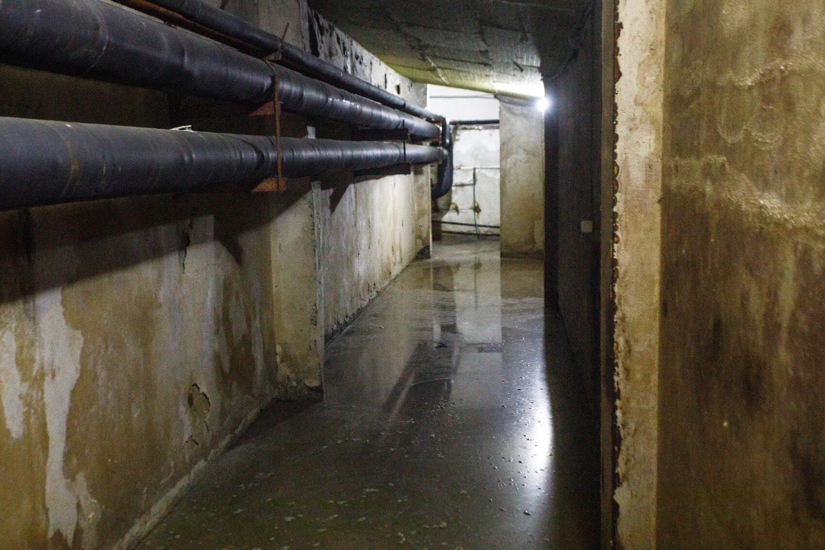 Фото: Марина Молдавская / It’s My&nbsp;City