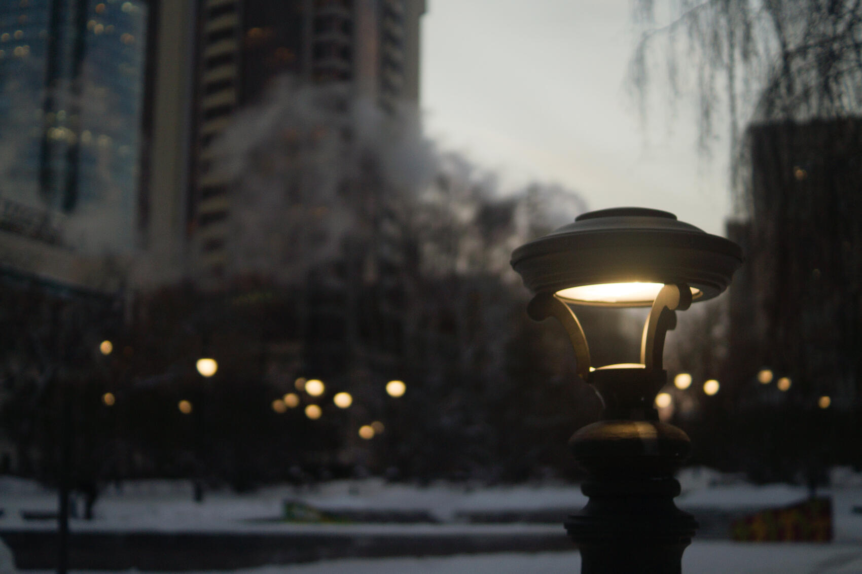 Фото: Елена Елизарова / It’s My City