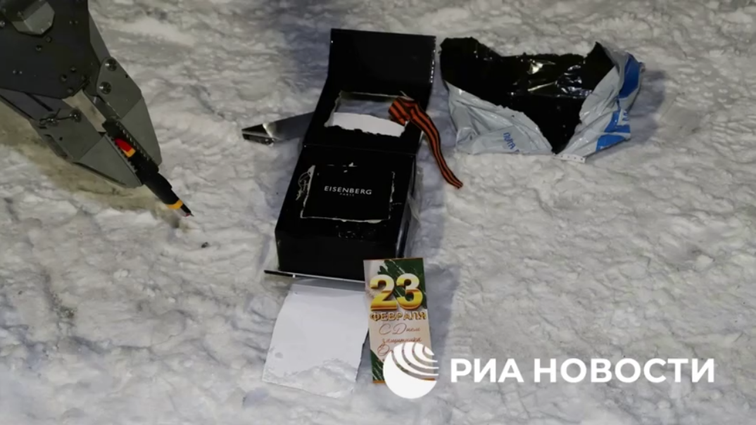 Фото: Скриншот из видео РИА Новости