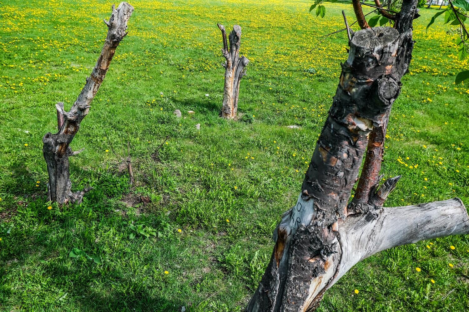  Фото: Саша Зубковский / It's My City