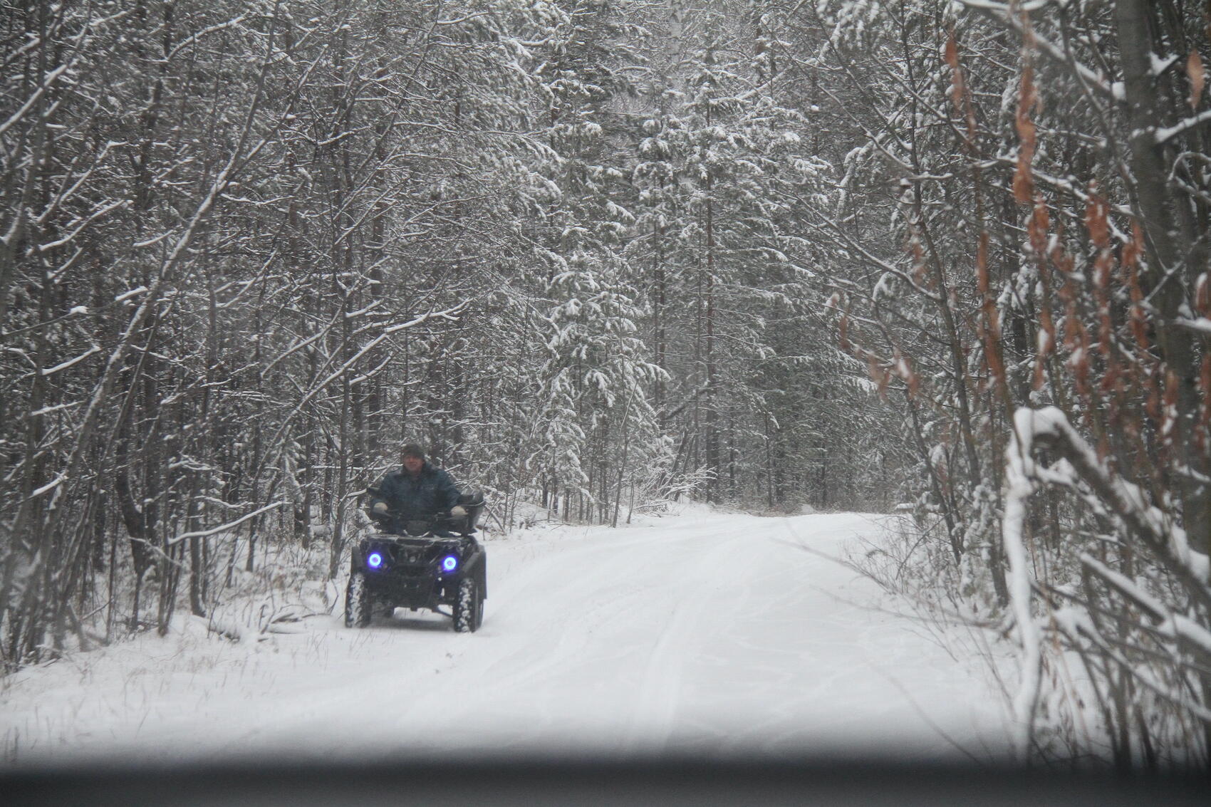 Фото: It’s My City