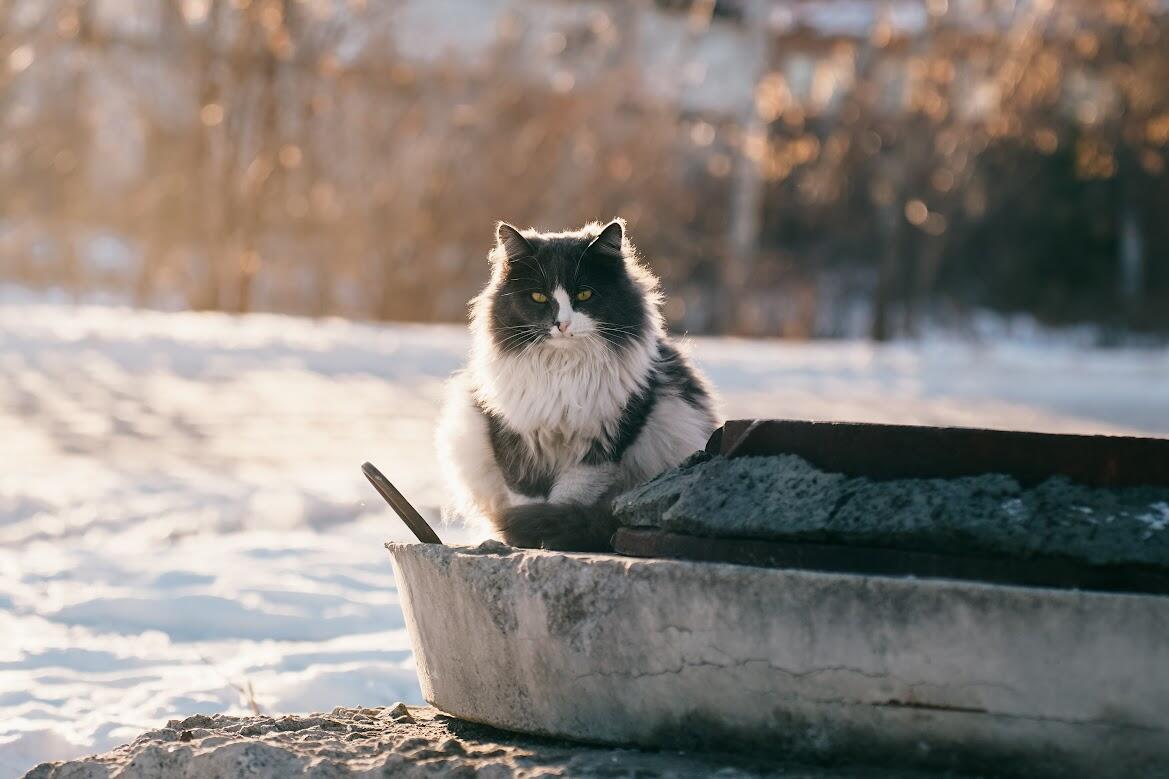 Фото: It's My City