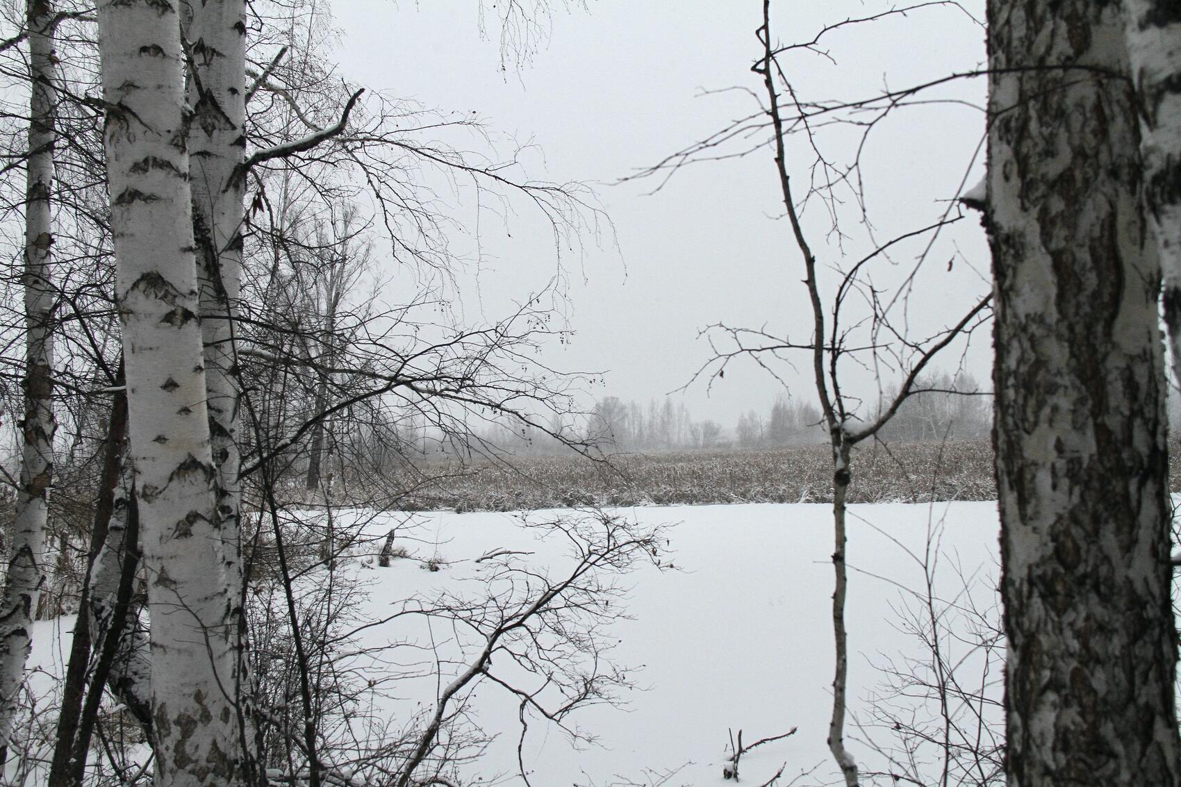 Местность недалеко от места раскопок. Здесь повсюду расположены небольшие водоемы, где часто рыбачат местные жители. Фото: It's My City