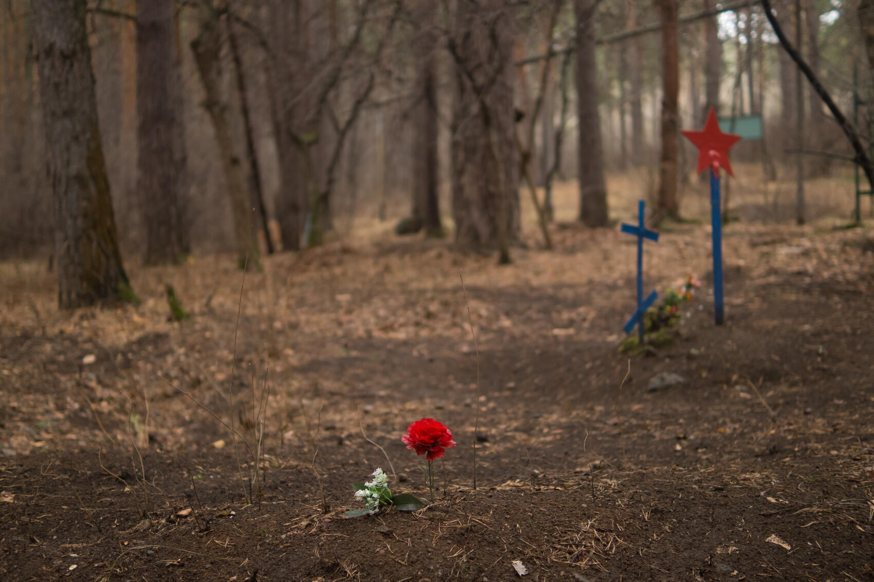 Фото: Елена Елизарова / It's My City