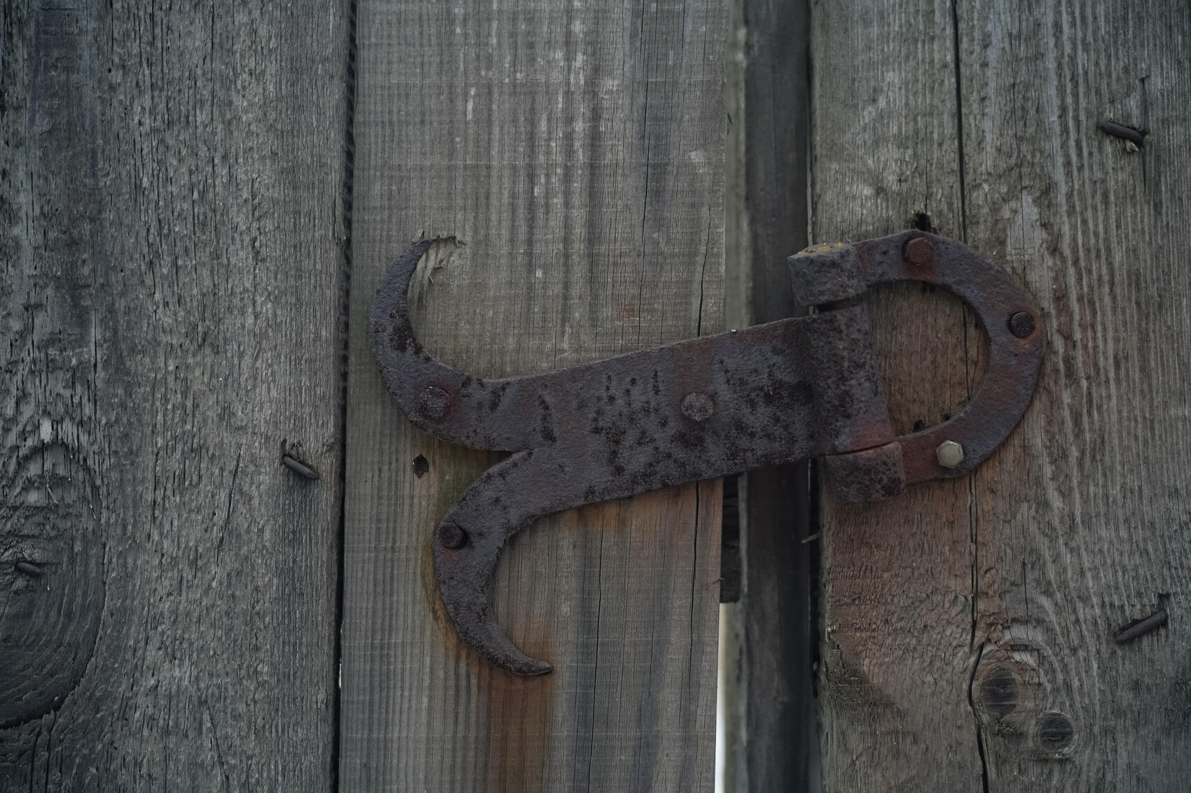 Фото: It's My City