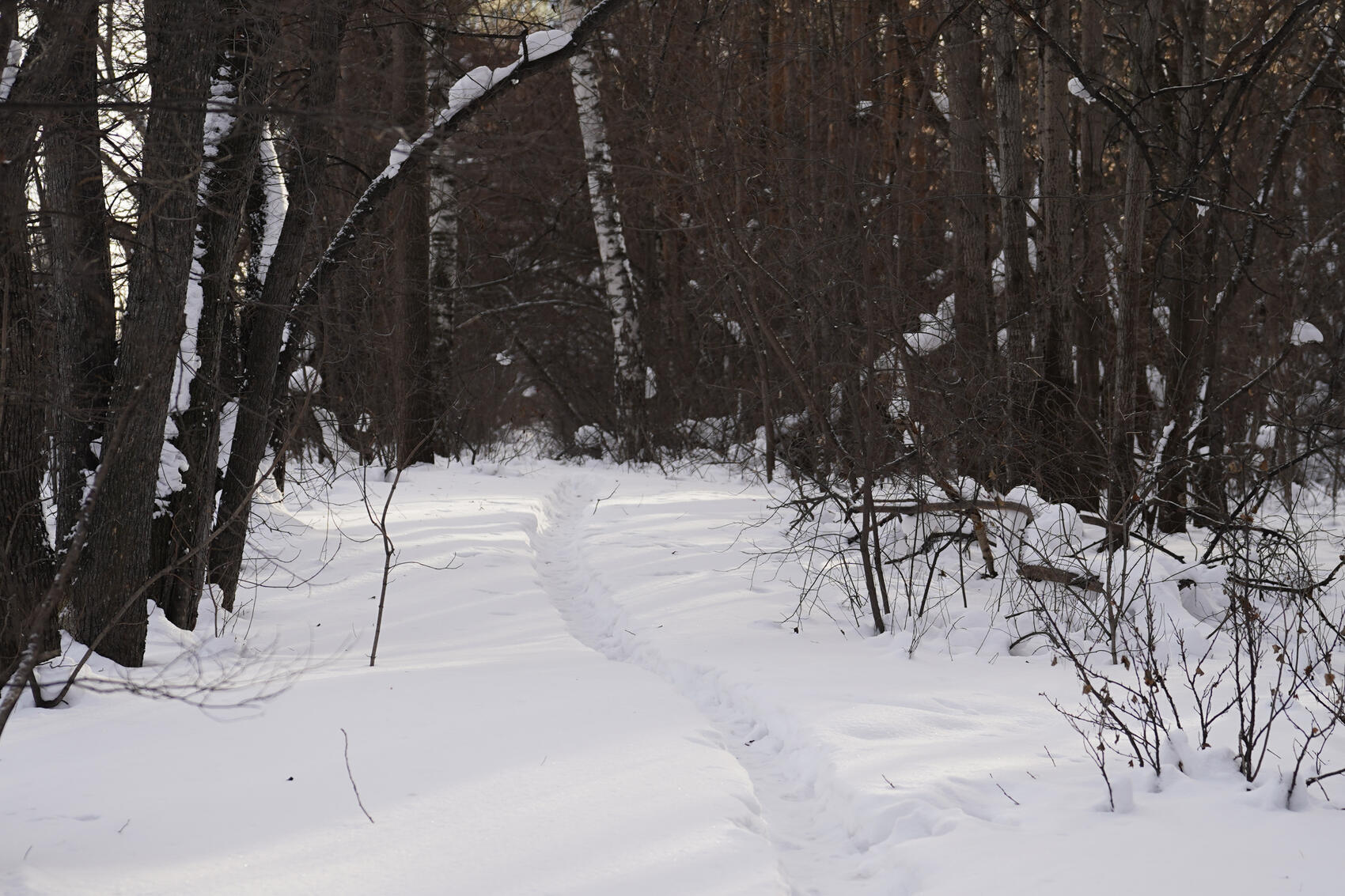 Фото: Елена Елизарова / It's My City