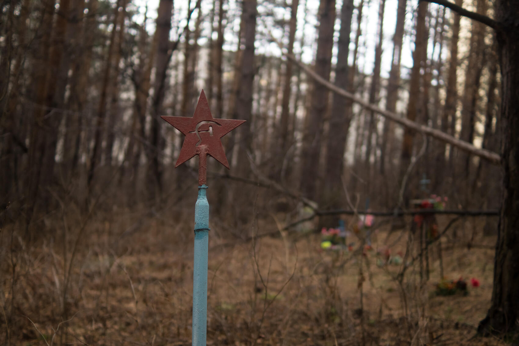 Фото: Елена Елизарова / It's My City