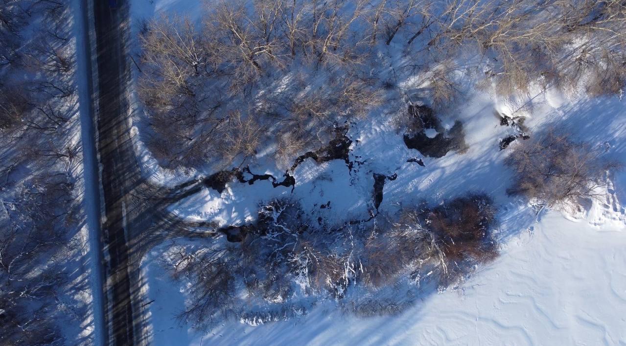 Фото предоставлено Никитой Соловьевым