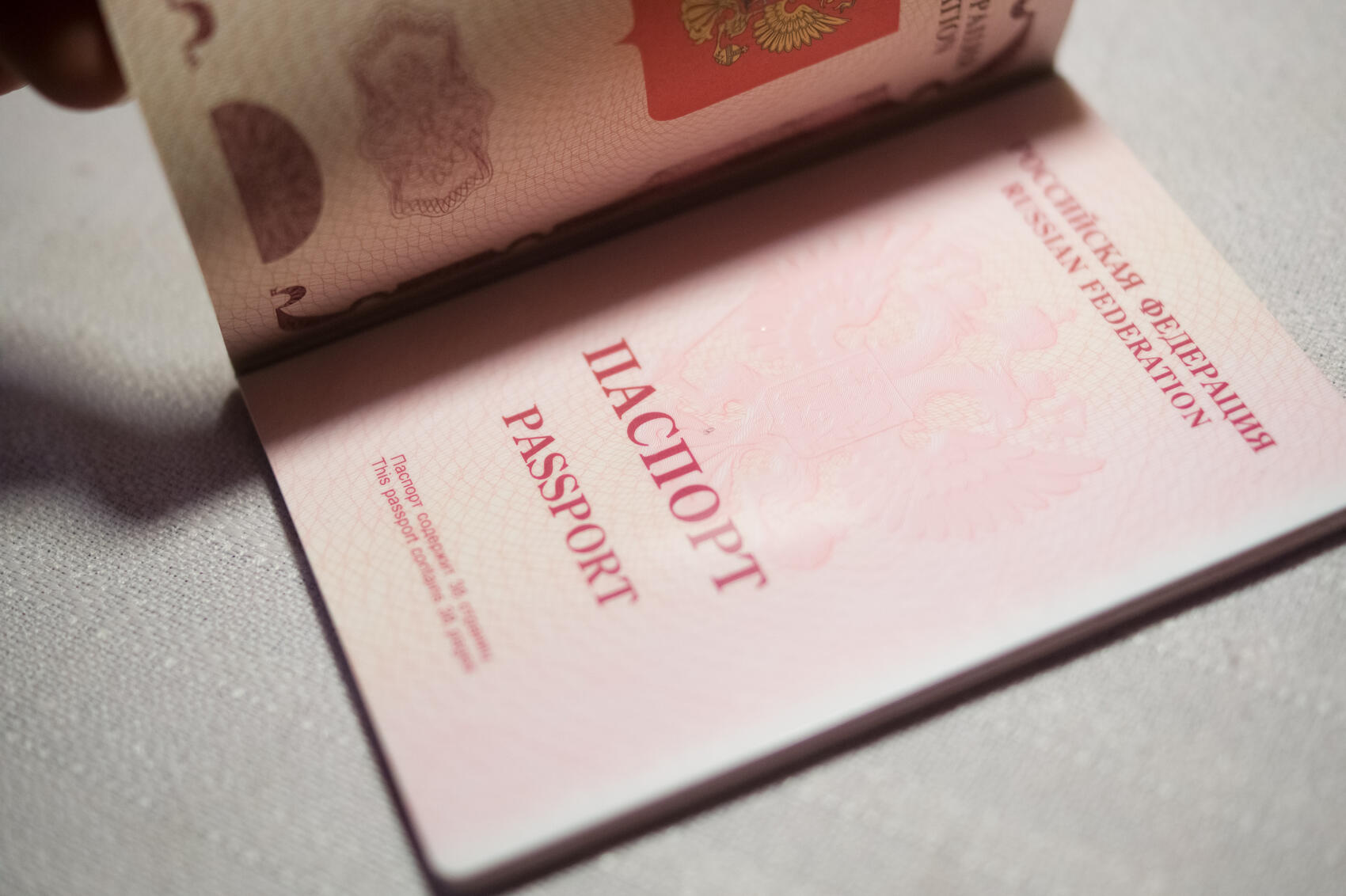 Фото: Елена Елизарова / It’s My City